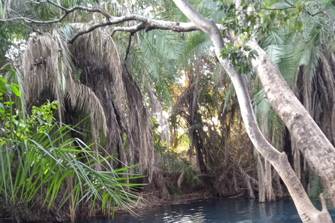 Moshi: Materuni Waterfall and Kikuletwa Hot Springs Day …