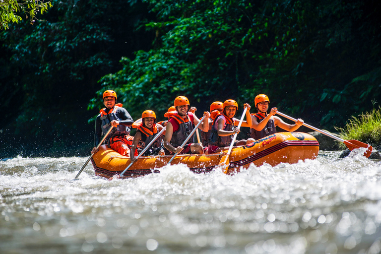 Bali: Avventura di rafting guidato sul fiume Ayung con pranzoRafting sul fiume Ayung con prelievo dall&#039;hotel