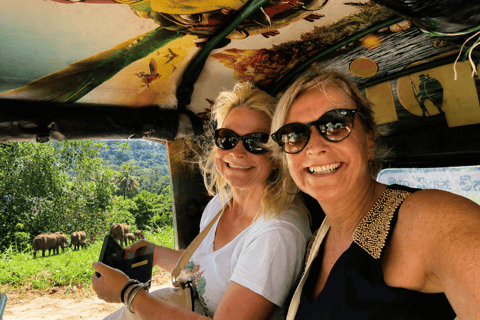 Colombo Airport ⇄ Sigiriya/Kandy/Ella/Yala Private Transfer Private Car with Driver – Up to 50 km