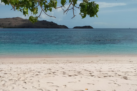 Bali: Komodo eiland dagtrip met vlucht vanuit Bali