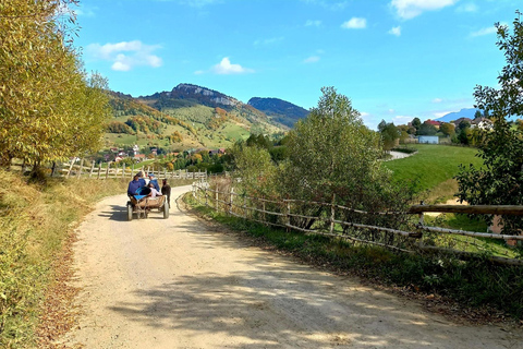 Brașov: Visit a Transylvanian Village Home near Bran Castle From Brașov to a Traditional Village Home in the Bran Area
