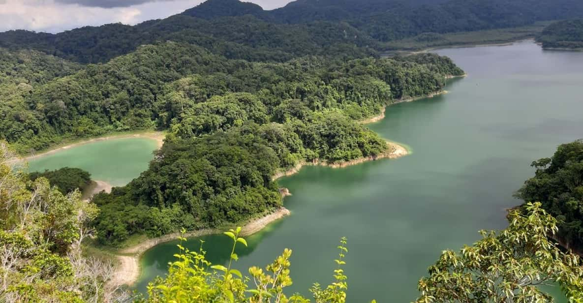 Desde Palenque Excursi N Privada A La Selva Lacandona De Metzabok