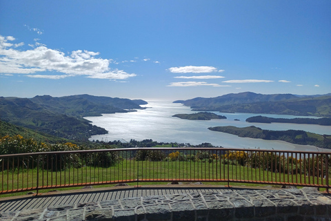 Visite d'une demi-journée des hauts lieux de ChristchurchVisite d'une demi-journée à Christchurch : Prise en charge à l'hôtel