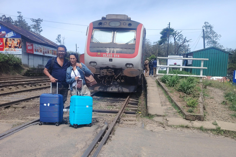 From Kandy: Nuwara Eliya Private Day Trip with Tea Factory
