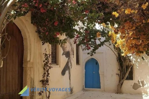EXCURSION : Visite à l'île de Djerba 1 journée