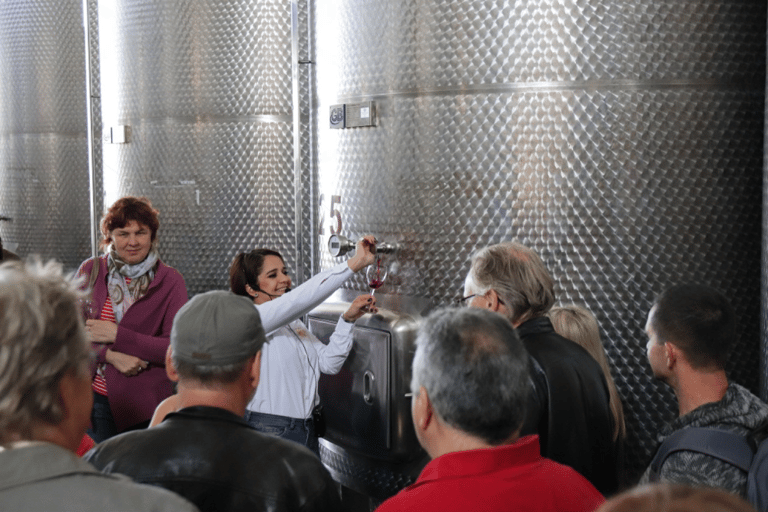 From Tbilisi: Kakheti Wine Tour with Lunch and Tastings