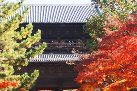 E-Bike Tour in Kyoto with Asuka, Japanese graduate student