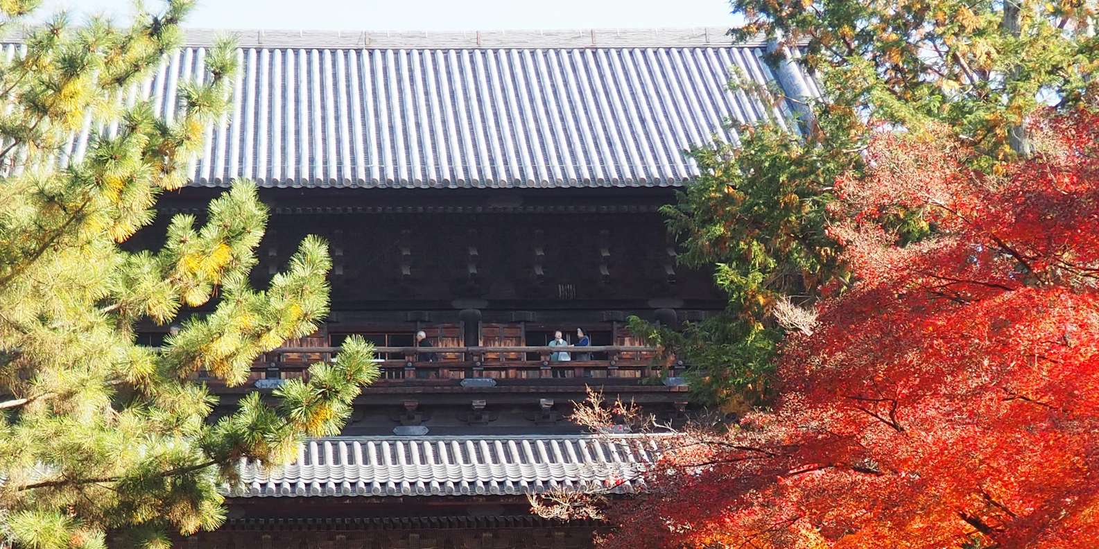 Kyoto experience — temples, geisha, bamboo grove — image 82