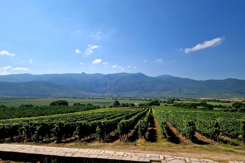 From Plovdiv: Wine Escape to the Rhodope Foothills