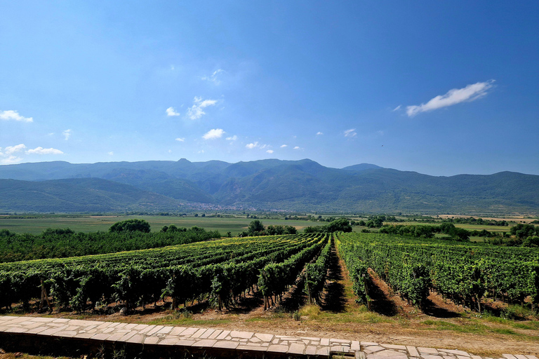 From Plovdiv: Wine Escape to the Rhodope Foothills