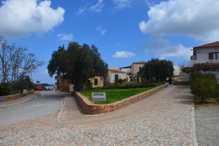 Crete: Wine & Olive Oil Tasting & Historic Villages Tour