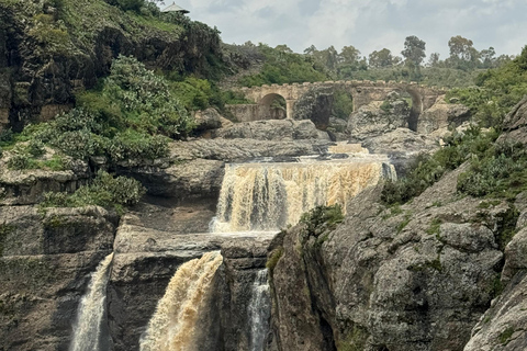 From Addis: Blue Nile Gorge, Baboons & Waterfalls