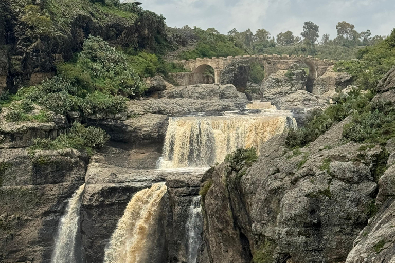 From Addis: Blue Nile Gorge, Baboons & Waterfalls