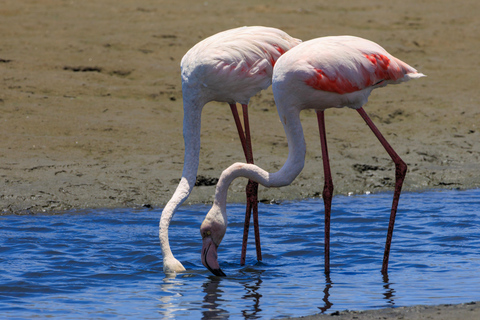 Namibia: 15 Days Guided Tour