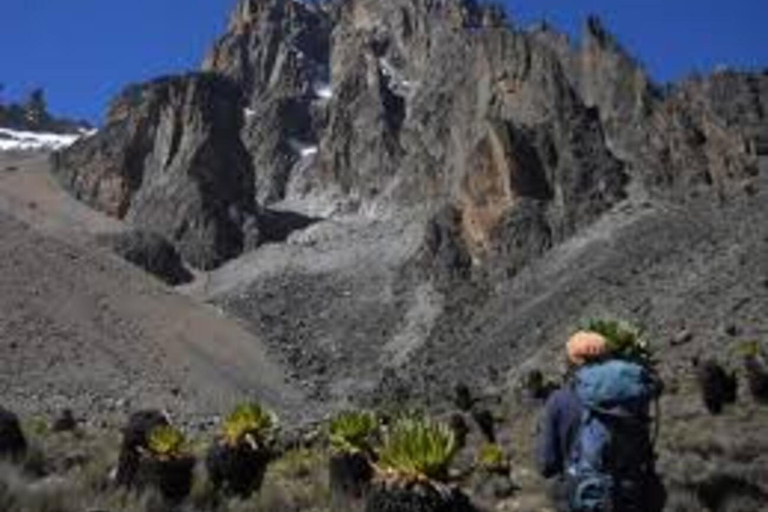 Caminhada de 1 dia no Monte Quênia saindo de Nairóbi