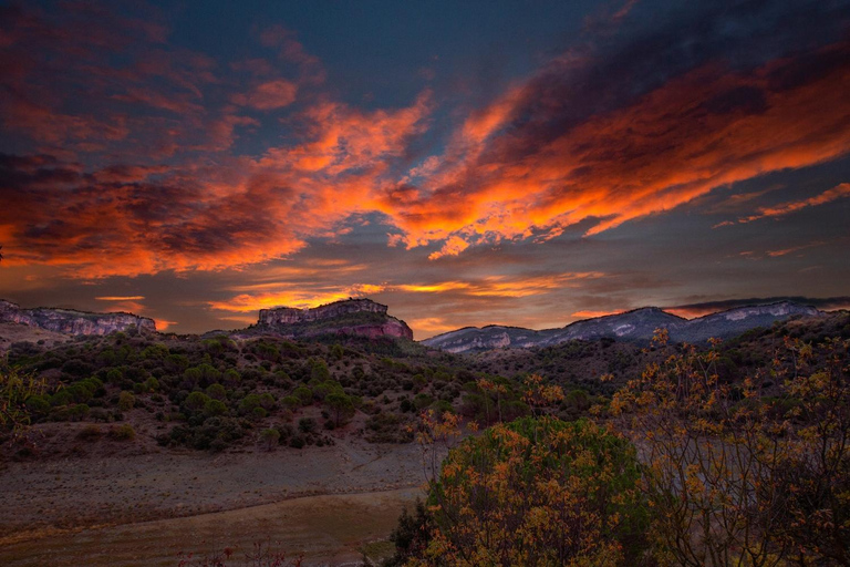 Romantic Tour, Wines and Picnic in Siurana and Priorat from Barcelona