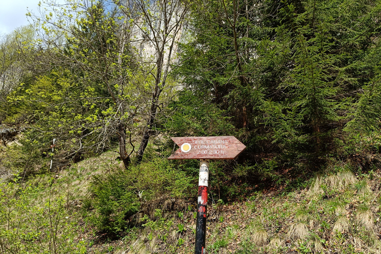 Brașov: Caminhada privada em Piatra Craiului até a cabana CurmaturaBrașov: Caminhada Privada de Piatra Craiului até a Cabana Curmatura