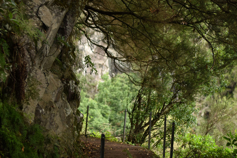 Madeira: Levada Paradise Valley Scenic Walk Pickup Machico, Santa Cruz