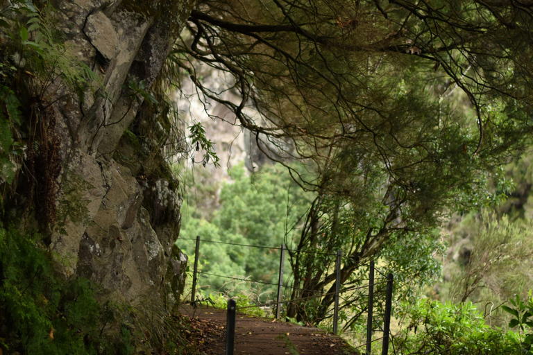 Madeira: Levada Paradise Valley Scenic Walk Pickup Machico, Santa Cruz