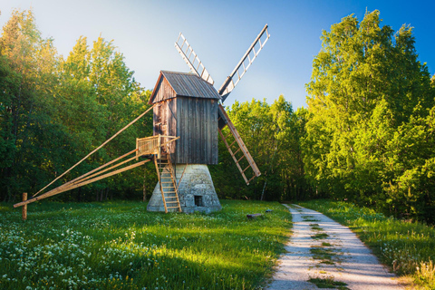 Skip-the-Line Estonian Open Air Museum Private Guided Tour 2-hour: Estonian Art Museum Tour