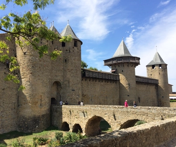Au départ de Toulouse Cite de carcassonne et dégustation de vins