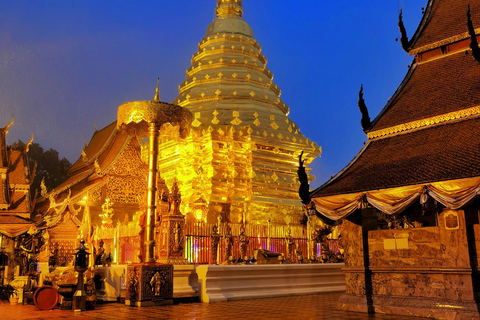 Chiang Mai: Tempel, natuur en cultuur in één dag.Olifantenopvang en Doi Suthep Tour.