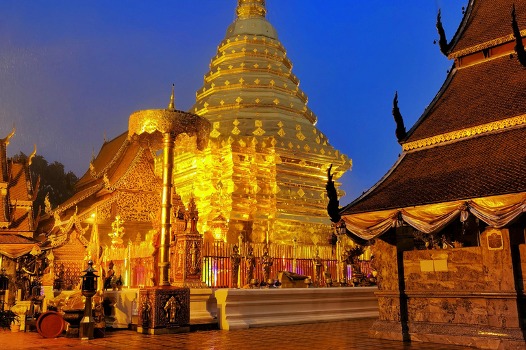 Chiang Mai: Tempel, natuur en cultuur in één dag.Olifantenopvang en Doi Suthep Tour.