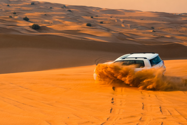 Qatar: Desert Escape with Camel Encounter & Scenic Dunes