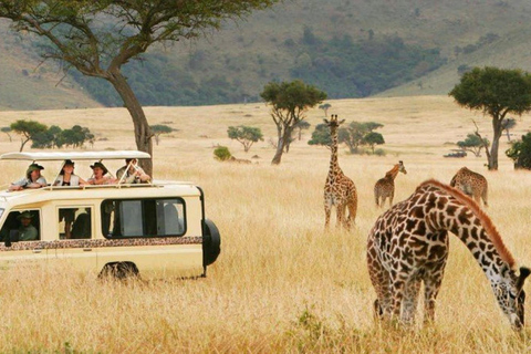 Desde Arusha: Safari de 2 días al Lago Manyara y al Ngorongoro ...