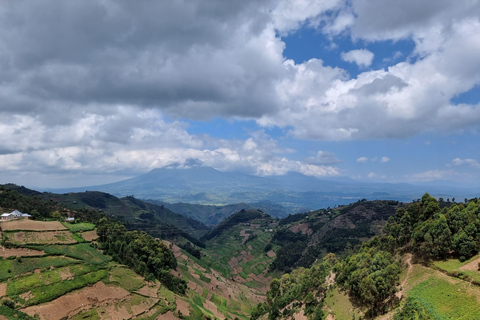 Uganda i Rwanda: 8-dniowe safari z gorylami i dziką przyrodą