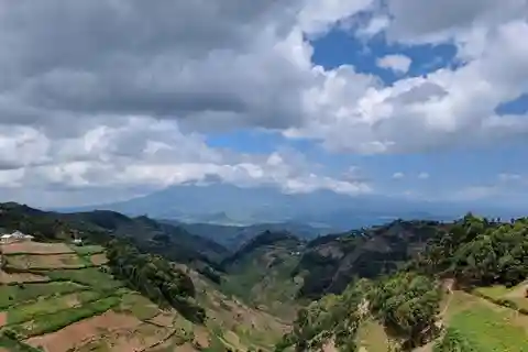 Uganda and Rwanda: 8-Day Gorillas and Wildlife Safari