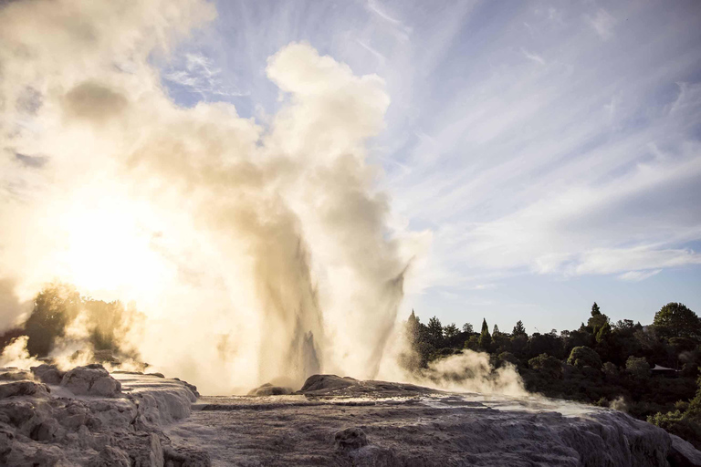 Rotorua: Tour durch das geothermische Tal Te Puia mit kultureller ShowRotorua: Tour durch das geothermische Tal Te Puia mit Kulturshow
