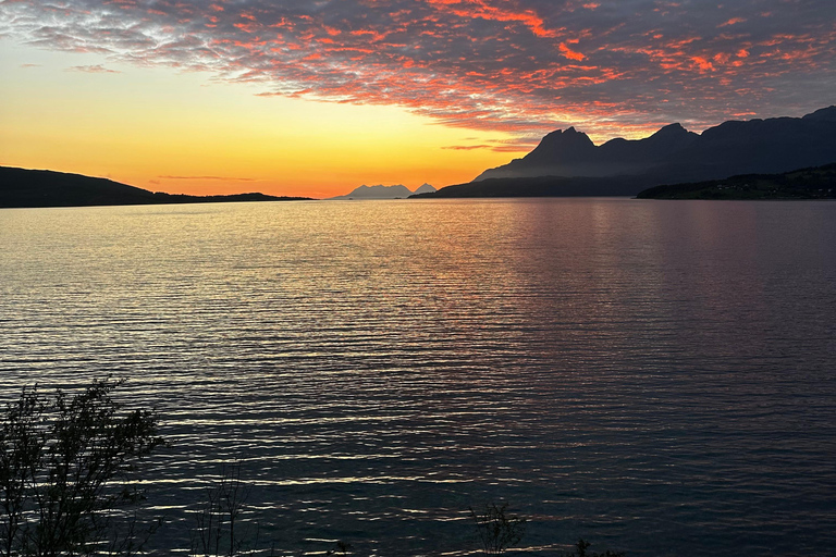 Narvik/Harstad : Excursion d&#039;une journée dans les Fjords avec arrêt à la ferme des rennes