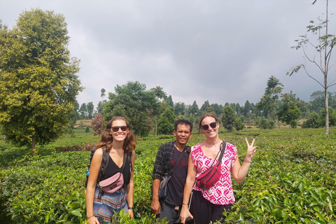 Passeios de destaque em Cianjur