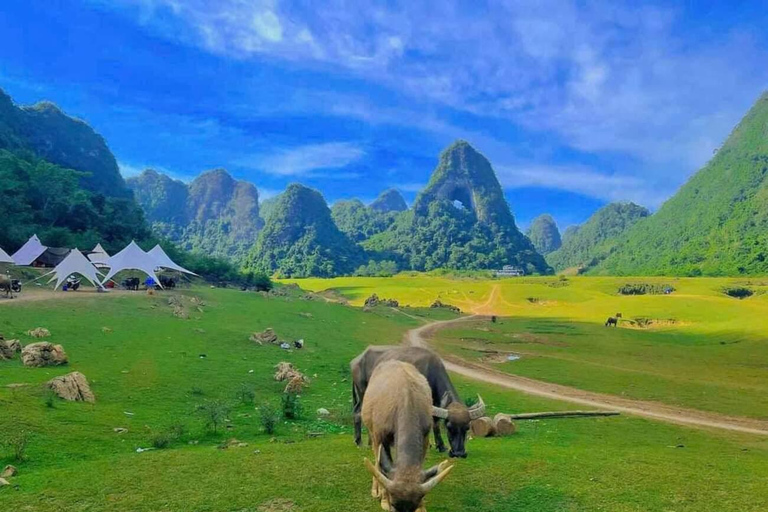 Da Hanoi: Cascata di Ban Gioc 2 giorni e 1 notte - Piccolo gruppo