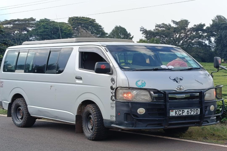 Masai Mara from Nairobi Transfer