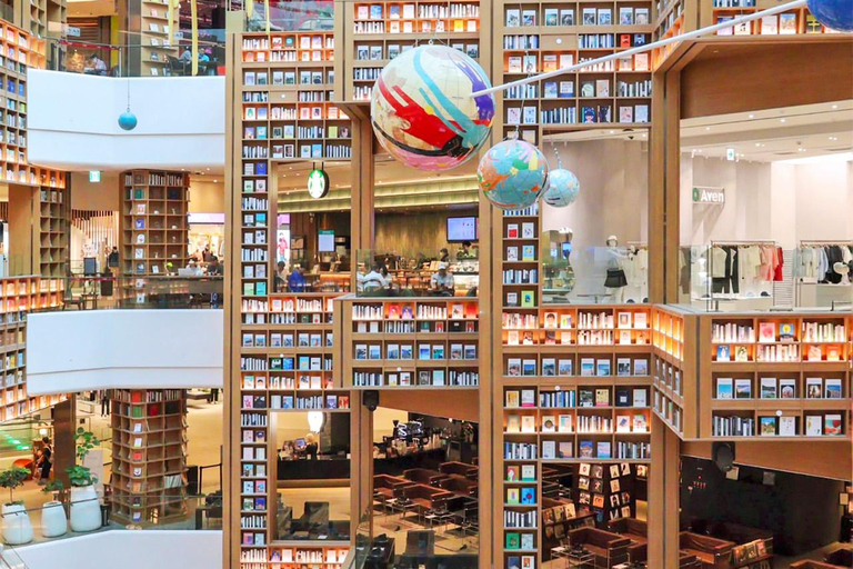Suwon: Hwaseong, Starfield Library, and Hangnidan-gil Tour