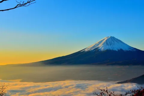 From Tokyo: Mount Fuji Full-Day Private Customized Tour