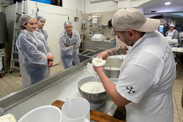 Pisa: Kaas maken en proeven met een kleine groep