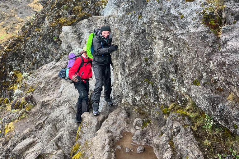 Kilimanjaro: Rongai Route 6-Day Hiking Adventure