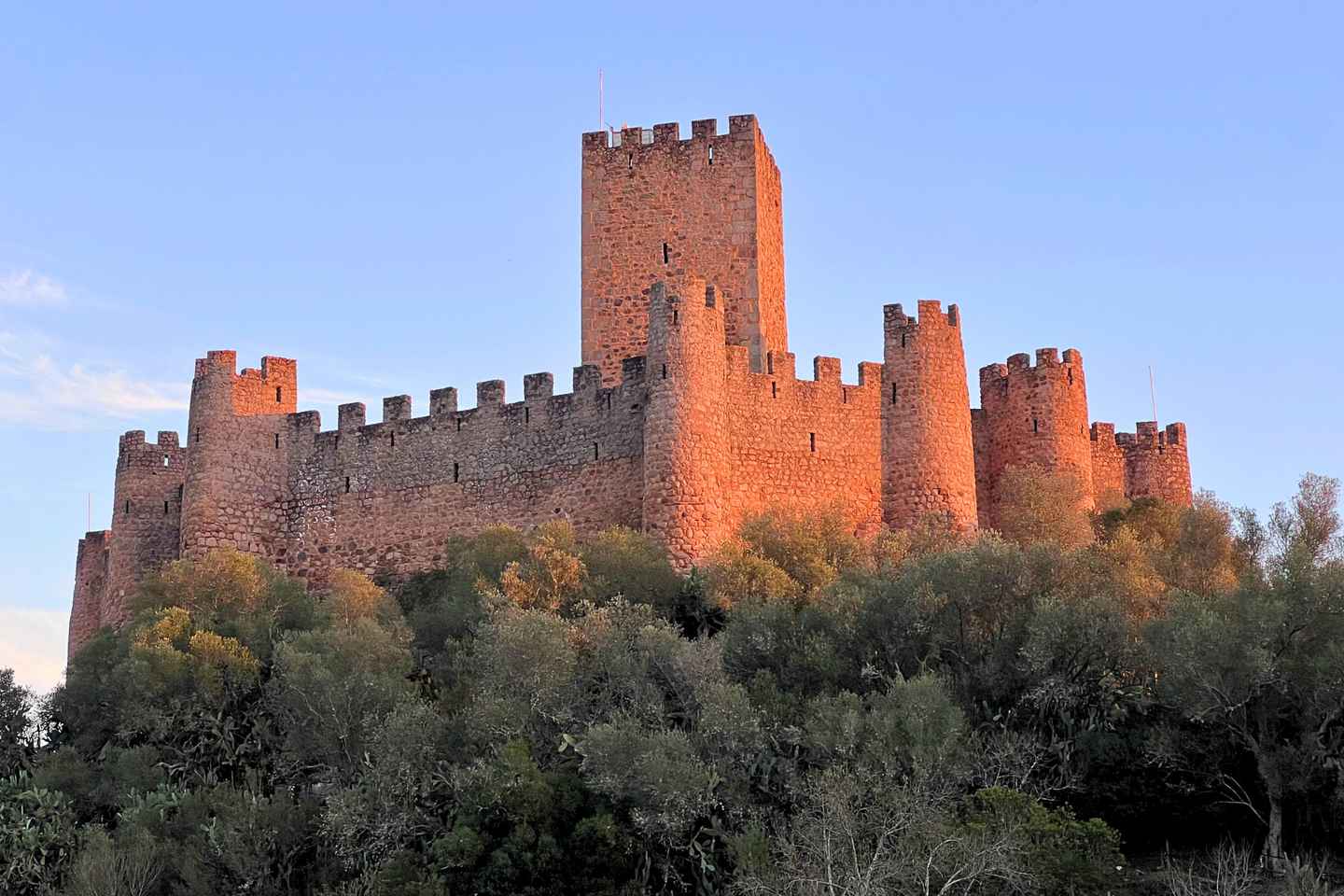 Lisbon: Knights Templar Tour - Almourol, Tomar and Convent of Christ - Tour WITH tickets included