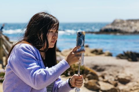 San Francisco: Monterey and Carmel Day Trip w/ 17-Mile Drive From San Francisco: Monterey and Carmel Day Tour