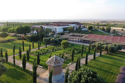 Toledo: Casa del Valle Winery Tour and Wine Tasting