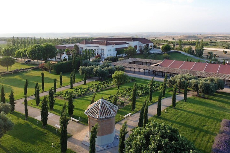 Toledo: Casa del Valle Winery Tour and Wine Tasting