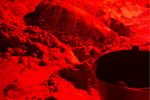 Sal Island Turtle Watch Tour w naturalnym środowisku