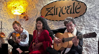 Granada, ZINCALÉ Flamenco Show in Sacromonte Caves - Housity
