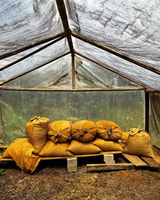 Chocolate making in an Indigenous Village and Waterfall Tour - Housity