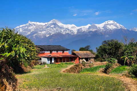 Pokhara : Journée de randonnée facile à Dhampus et au village d&#039;Astam