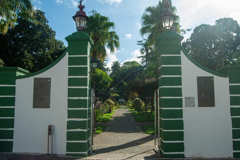 Tour di mezza giornata: Tour della città di Angra do Heroísmo
