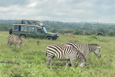 Nairobi: National Park Half-Day Safari with Hotel Pick-Up